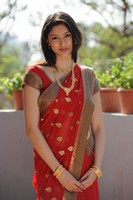 Tanvi Vyas Saree Photos